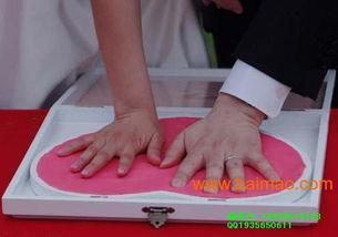 手印泥视频,指纹识别技术的神奇魅力